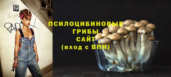 твердый Балахна