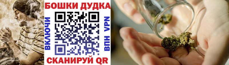 МЕГА ТОР где продают наркотики Сосновка Бошки марихуана SATIVA & INDICA